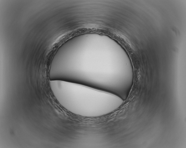 X0000112870968200908281621