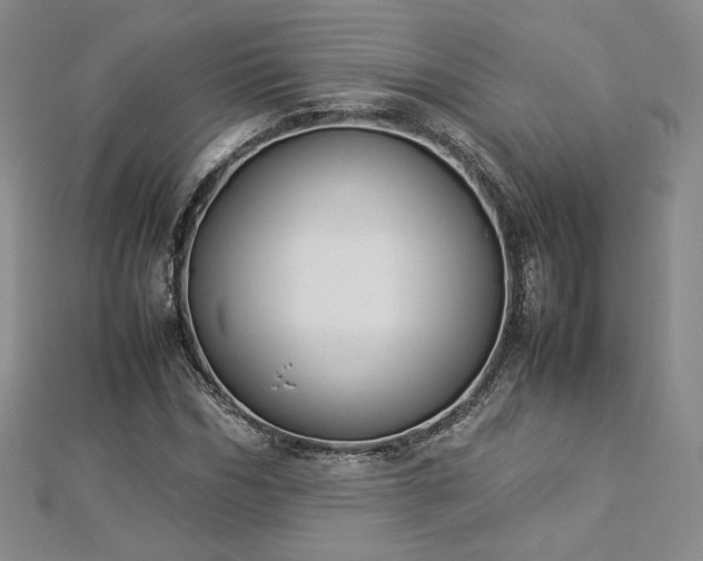 X0000112870970200908281621