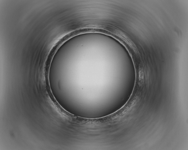 X0000112870972200908281621