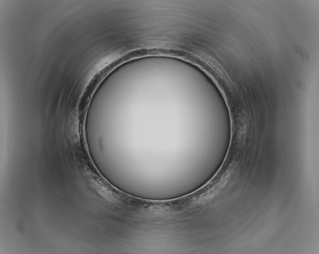 X0000112870974200908281621