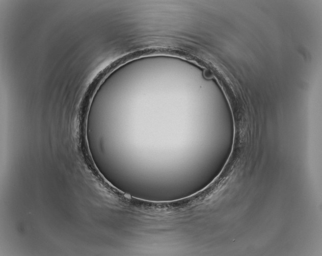 X0000112870975200908281621