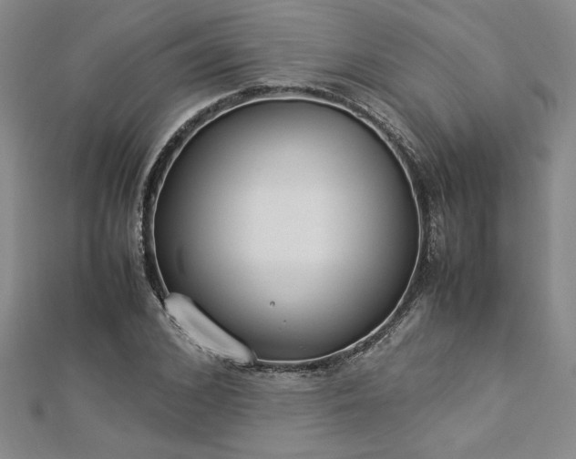 X0000112870976200908281621