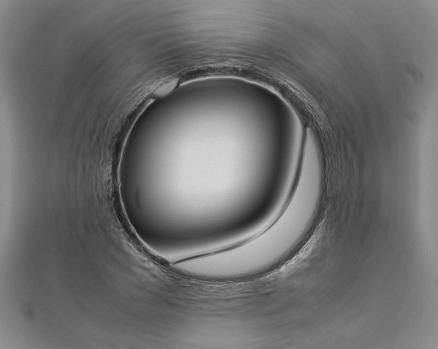 X0000112870977200908281621