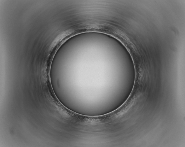 X0000112870978200908281621