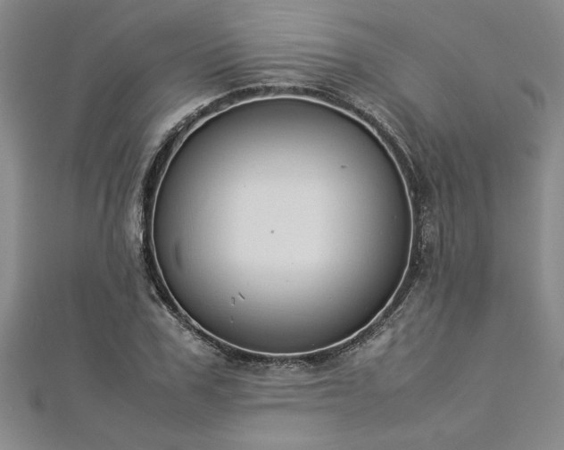 X0000112870979200908281621