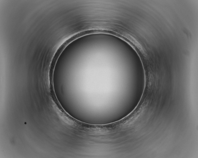 X0000112870980200908281621