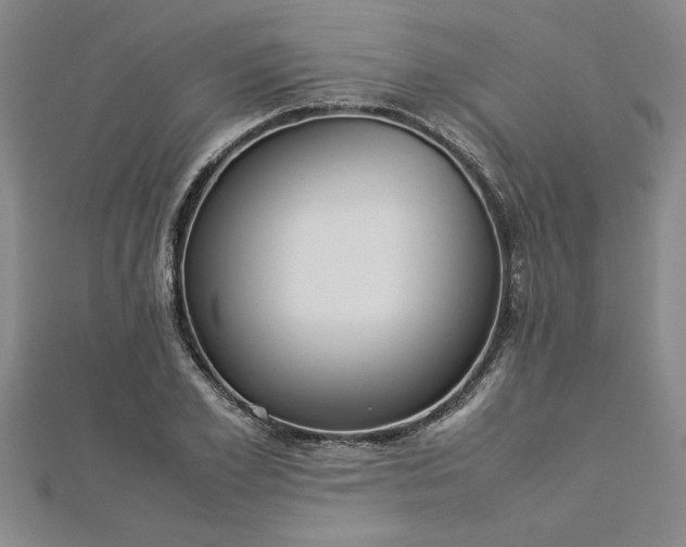 X0000112870981200908281621