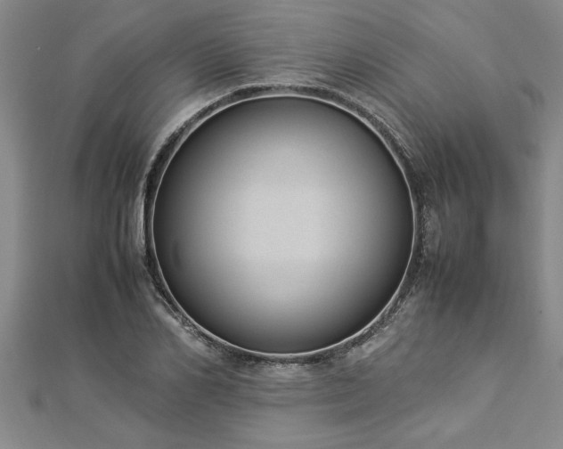 X0000112870982200908281621