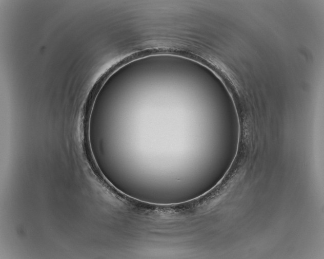 X0000112870983200908281621