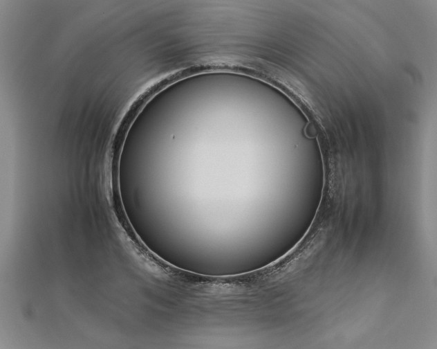 X0000112870984200908281621