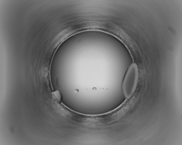 X0000112870985200908281621