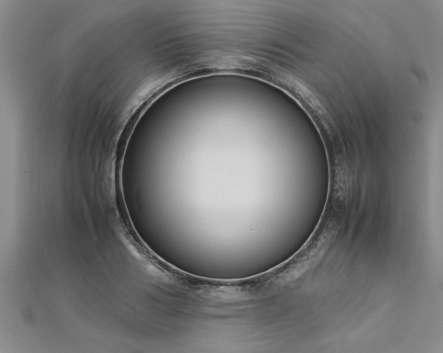 X0000112870986200908281621