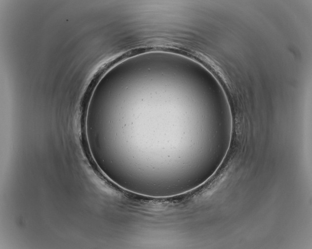 X0000112870987200908281621