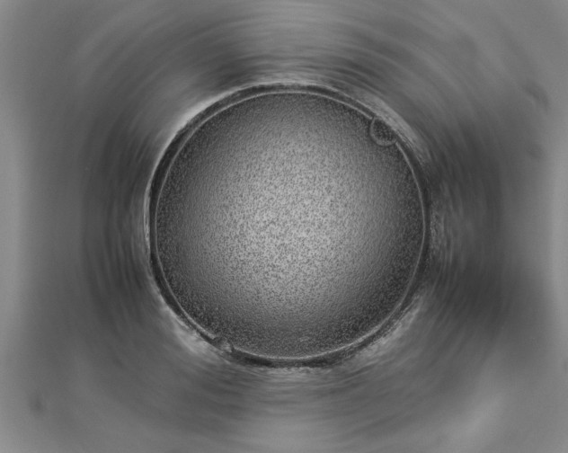 X0000112870988200908281621