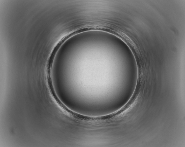 X0000112870989200908281621