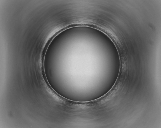 X0000112870990200908281621