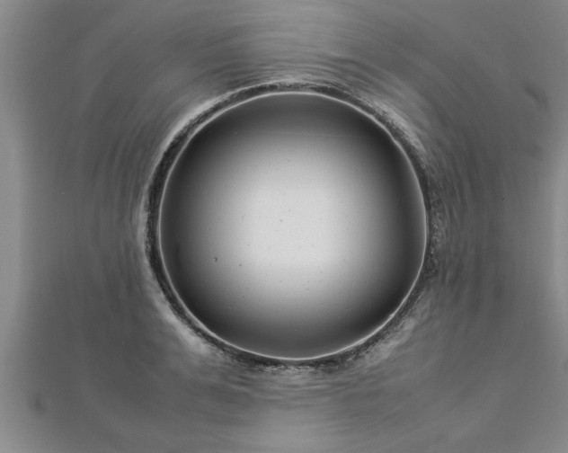 X0000112870991200908281621