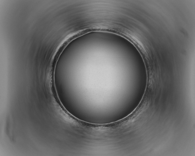 X0000112870992200908281621