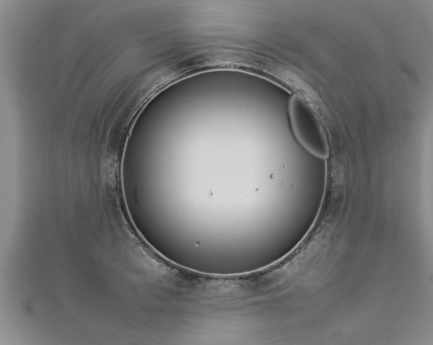 X0000112870993200908281621