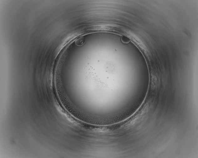 X0000112870994200908281621