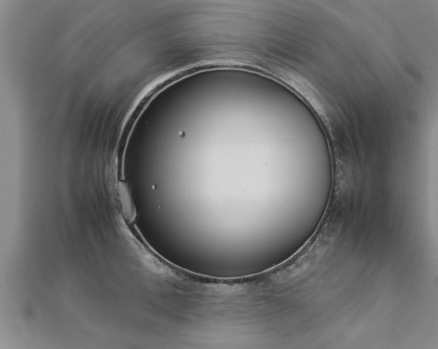 X0000112870996200908281621