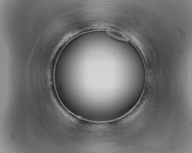 X0000112870997200908281621