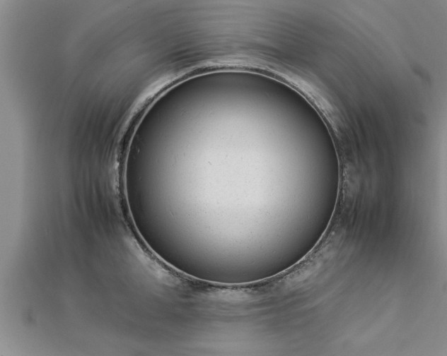 X0000112870998200908281621