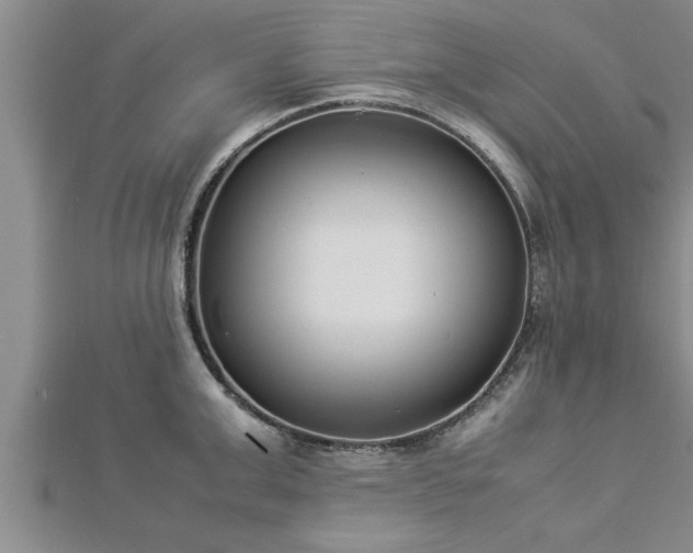 X0000112870999200908281621