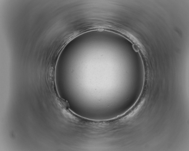 X0000112871001200908281621