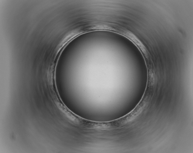 X0000112871002200908281621