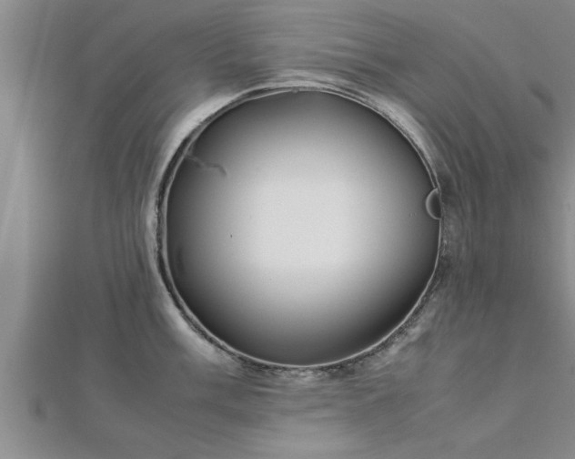 X0000112871003200908281621