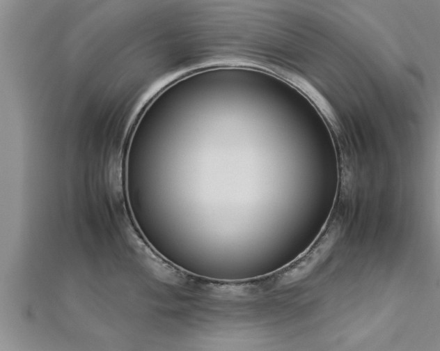 X0000112871004200908281621