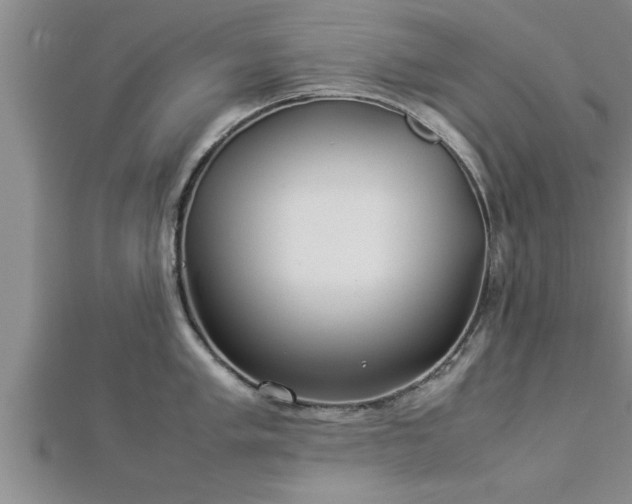 X0000112871005200908281621