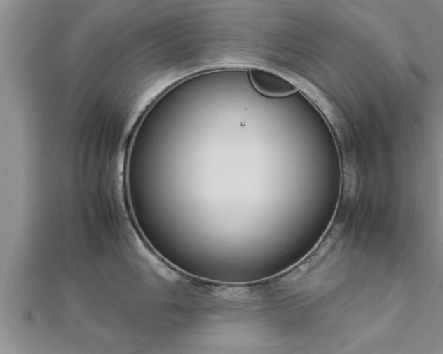 X0000112871006200908281620