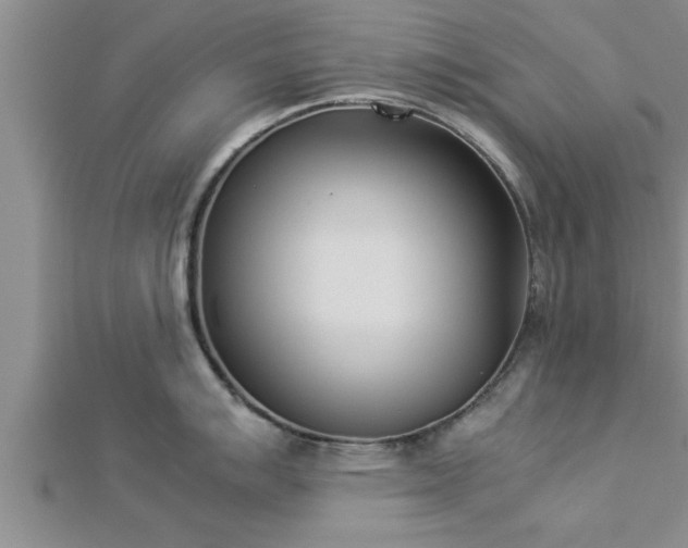 X0000112871007200908281620