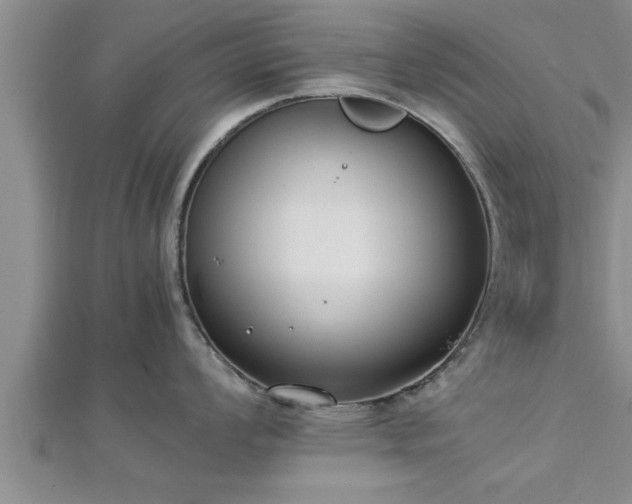 X0000112871008200908281620