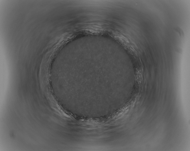 X0000112871009200908281620