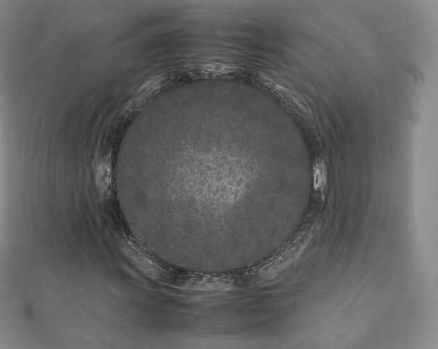 X0000112871011200908281620