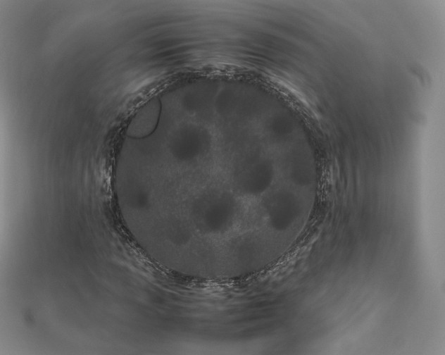 X0000112871013200908281620