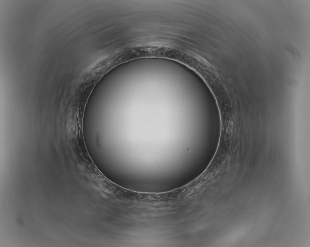 X0000112871014200908281620