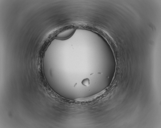 X0000112871016200908281620