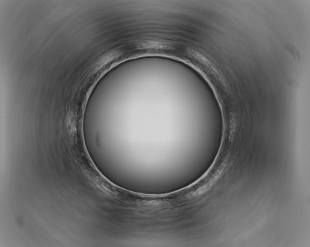 X0000112871017200908281620