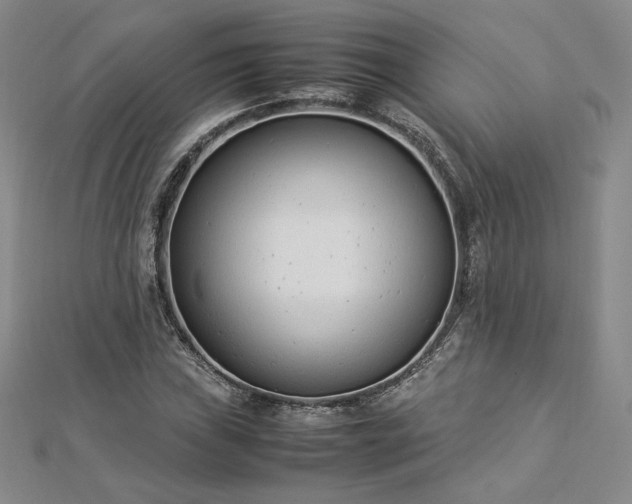 X0000112871019200908281620