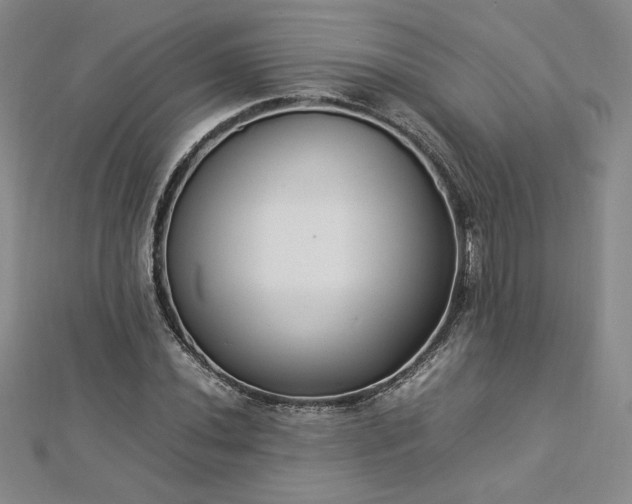 X0000112871020200908281620