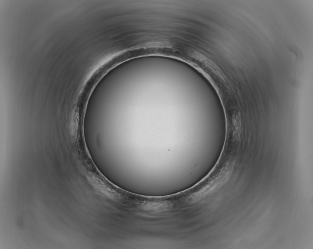 X0000112871021200908281620