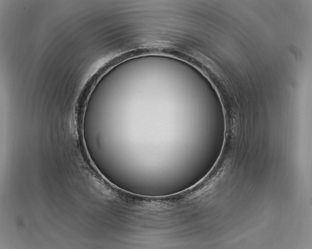 X0000112871022200908281620