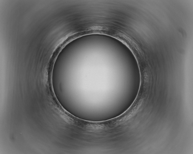 X0000112871023200908281620