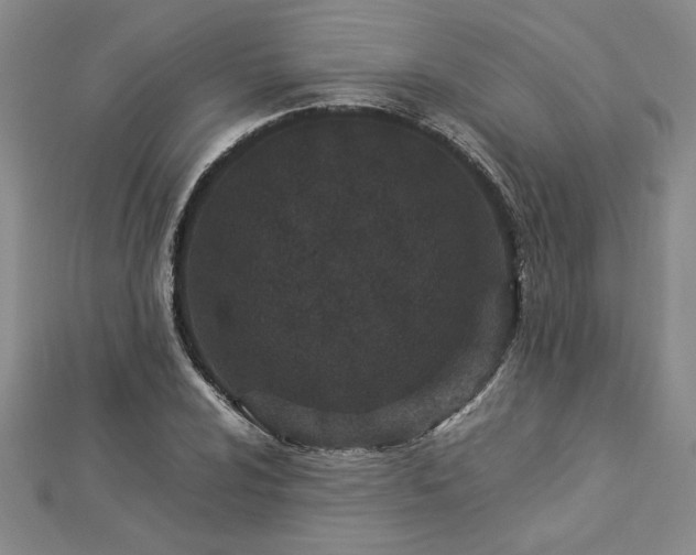 X0000112871024200908281620