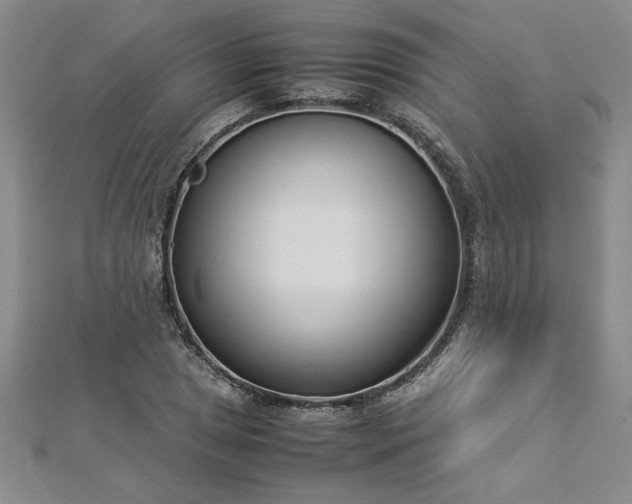 X0000112871025200908281620