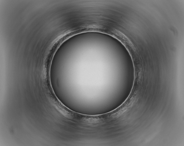 X0000112871027200908281620